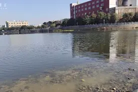 双胞胎总有一个体质差的，今天GG又在家休息了，好心疼视频封面