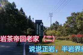 和岩茶帝回老家，聊聊正岩和半岩的分界，洋墩岩山场的特性视频封面