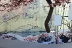 我国最大伪机厂视频封面