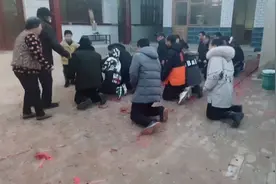 请爷爷奶奶回家过年视频封面