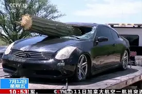 吓人！巨大仙人掌刺穿挡风玻璃插入车中：美国奇葩车祸现场视频封面