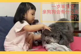 一岁半的宝宝亲狗，狗会有什么反应