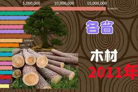 中国各省木材产量年度数据，广西的排名实力让人眼前一亮视频封面