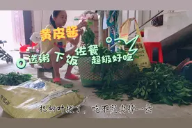 黄皮果成熟季，摘取一些腌制起来，吃上一整年都不坏视频封面