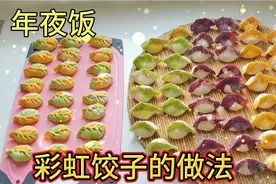 过年吃饺子寓意好，教你做彩虹色饺子皮，简单易学，绞肉机好帮手视频封面