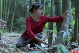 李子柒：酸辣鲜香烫，一碗非遗柳州螺蛳粉视频封面