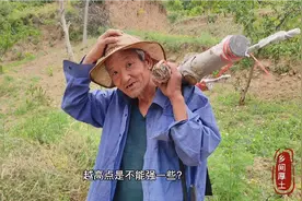 陕西农村遭霜冻，果树成了这片景象，70岁的大爷为啥这么淡定？视频封面