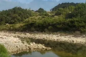 山清水秀，合肥城市饮用水源头，没有污染，视频封面