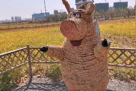 路边的野花不要采视频封面