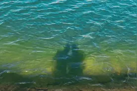 看到清澈湖水第一反应是什么？有想跳进去的冲动，还有口渴的感觉