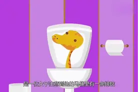蛇是如何爬进你家测试马桶的，带你看看全过程，教你如何避免视频封面