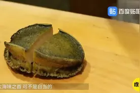 涨知识了，世界上最稀有的鲍鱼，一只售价1.28万，数量稀少！视频封面