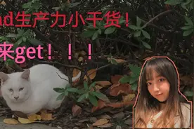 ipad生产力小干货！网盘不能分屏看课？用这个方法！@西瓜校园视频封面