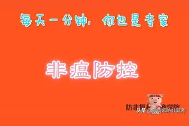 非瘟防控体系：虫害防控-蝇蚊虫