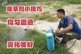 开花牛筋草怎么处理，看过实用小技巧，一定要用草铵膦，喷湿喷透视频封面