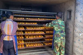 下雨 没有天气晒柿子，小吴把削好皮的柿子放进烤箱里烘干视频封面