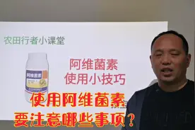 阿维菌素使用注意事项