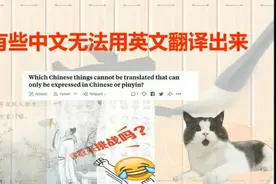 美国网友：有哪些中文是英文无法翻译的，你敢来挑战吗视频封面