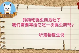 狗狗吃驱虫药后吐了，吃进去的驱虫药管用吗？需要再吃一次吗视频封面