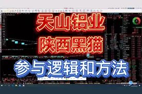打板教学：天山铝业和陕西黑猫，参与逻辑和方法！视频封面