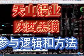 打板教学：天山铝业和陕西黑猫，参与逻辑和方法！视频封面