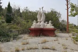 自驾来到山东省东营市胜利龙悦天鹅湖公园，景色美面积大观音寺。视频封面