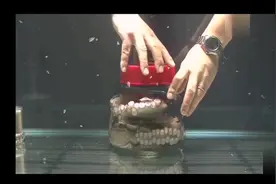 把章鱼装在罐子里盖上盖子，它自己竟然可以出来视频封面