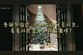 圣诞节临近，家里小朋友邀我去北京，看看北京金鱼胡同藏着啥？视频封面
