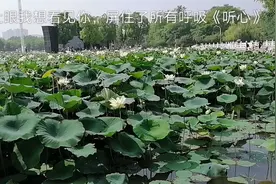 闭上眼我想看见你，屏住了所有呼吸《听心》视频封面