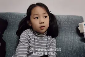 家里太冷清了！宝妈想养只阿猫阿狗，给娃做个伴儿～看她啥反应？视频封面