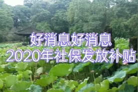 好消息:2020年社保局发放补贴了，看看您符合要求吗？视频封面