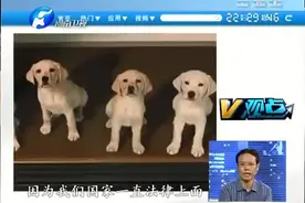 法律上并没有动物立法，嘉宾提出自己的看法与建议，确实有道理！视频封面
