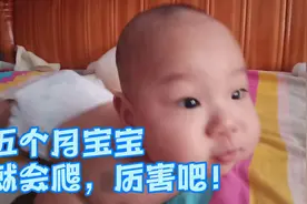 五个半月的宝宝就会爬了！厉害吧！视频封面