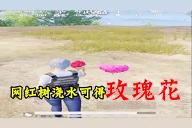 和平精英：网红树重出江湖！浇水可得玫瑰花！是真是假？