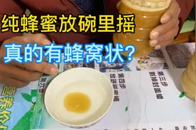 纯蜂蜜放进一碗水摇动，真的会有蜂窝状吗？小刘给大家做个实验视频封面