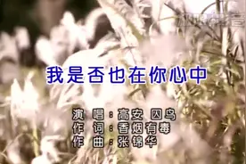 高安.囚鸟-我是否也在你心中视频封面