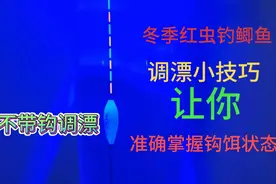 冬季用红虫，你真的会调漂吗？这才是最合理的红虫调漂法视频封面