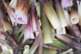 宁波羊尾笋开始烤制啦视频封面
