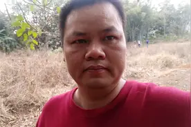 秋枫树，风景树，白菜价，大量供应视频封面