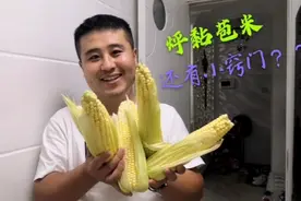 长江在农村拿来的有机粘苞米，烀的时候还有小窍门？又甜又粘真香