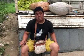 渭南大荔大哥：黄花菜的收购价一天一个样，听听最高多钱一公斤