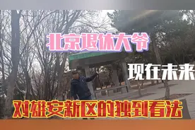 北京大爷，对雄安新区现在未来的独到看法，大爷很能聊视频封面