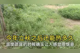 今日立秋:2020年立秋之后还能热多久，答案来了……视频封面