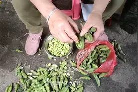 五月在上海见过最多的一种蔬菜，听说上海人都爱吃它，味道很奇怪