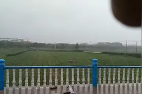 山东泰安东平狂风暴雨来到啦，吓人