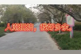 伤感文案-适合失恋的人看视频封面