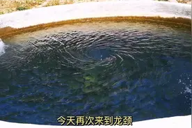 清远瘦身鱼，把鱼越养越瘦，是什么回事#秋季美食安利会视频封面