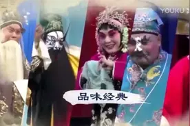 石家庄丝弦《花烛恨》全剧欣赏视频封面