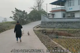 90后美女同事熟悉乡村工作，释放天性下村赶鸭子，笑声太爽朗视频封面