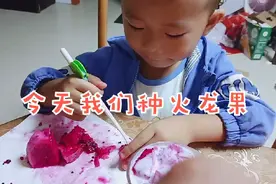 火龙果原来是这样种的，你们见过吗？来瞧瞧吧！